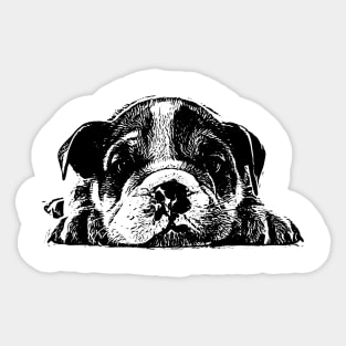 Pupper Sticker